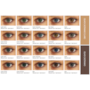 Soflens Starcolors II Grau